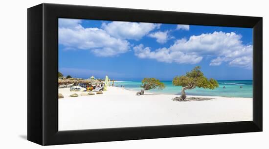 Caribbean, Netherland Antilles, Aruba, Divi Divi Trees on Eagle Beach-Jane Sweeney-Framed Premier Image Canvas