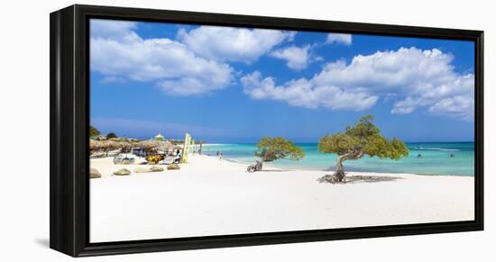 Caribbean, Netherland Antilles, Aruba, Divi Divi Trees on Eagle Beach-Jane Sweeney-Framed Premier Image Canvas
