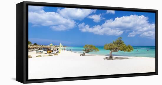 Caribbean, Netherland Antilles, Aruba, Divi Divi Trees on Eagle Beach-Jane Sweeney-Framed Premier Image Canvas