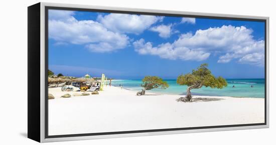 Caribbean, Netherland Antilles, Aruba, Divi Divi Trees on Eagle Beach-Jane Sweeney-Framed Premier Image Canvas