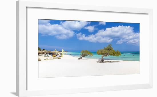 Caribbean, Netherland Antilles, Aruba, Divi Divi Trees on Eagle Beach-Jane Sweeney-Framed Photographic Print