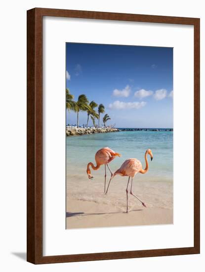 Caribbean, Netherland Antilles, Aruba, Renaissance Island, Flamingo beach-Jane Sweeney-Framed Photographic Print