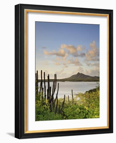 Caribbean, Netherland Antilles, Bonaire, Washington Slagbaai National Park-Michele Falzone-Framed Photographic Print
