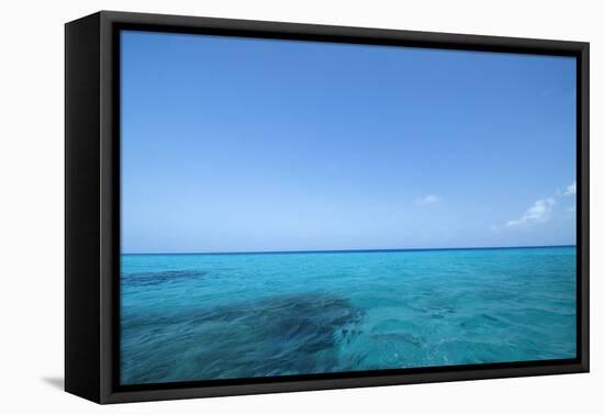 Caribbean Ocean Near Ambergris Caye, Belize-Pete Oxford-Framed Premier Image Canvas