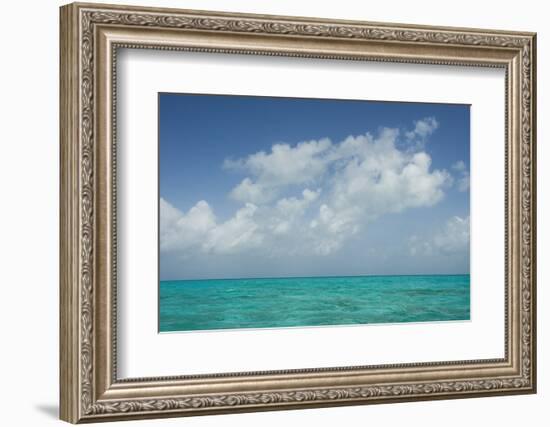 Caribbean Ocean Near Ambergris Caye, Belize-Pete Oxford-Framed Photographic Print