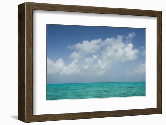 Caribbean Ocean Near Ambergris Caye, Belize-Pete Oxford-Framed Photographic Print