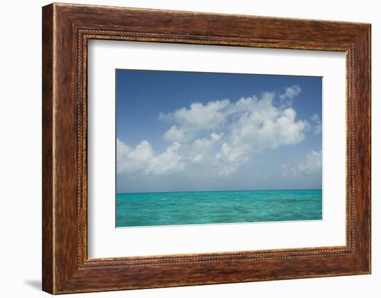 Caribbean Ocean Near Ambergris Caye, Belize-Pete Oxford-Framed Photographic Print