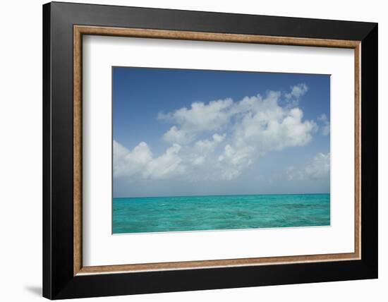 Caribbean Ocean Near Ambergris Caye, Belize-Pete Oxford-Framed Photographic Print