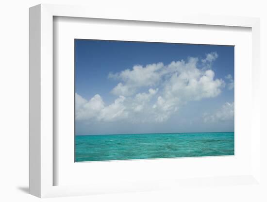 Caribbean Ocean Near Ambergris Caye, Belize-Pete Oxford-Framed Photographic Print