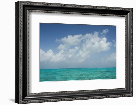 Caribbean Ocean Near Ambergris Caye, Belize-Pete Oxford-Framed Photographic Print