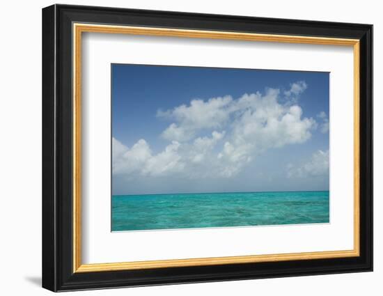 Caribbean Ocean Near Ambergris Caye, Belize-Pete Oxford-Framed Photographic Print