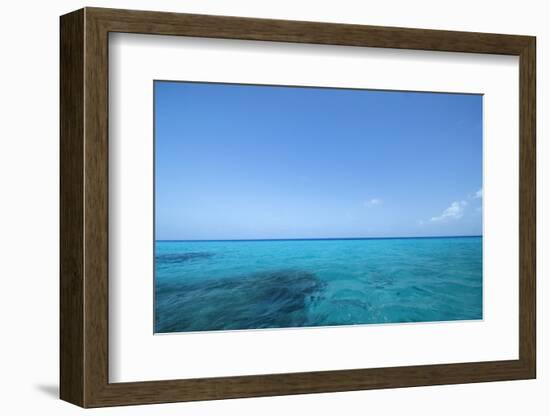Caribbean Ocean Near Ambergris Caye, Belize-Pete Oxford-Framed Photographic Print