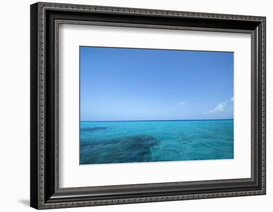 Caribbean Ocean Near Ambergris Caye, Belize-Pete Oxford-Framed Photographic Print