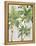 Caribbean Palm Trees-Jane Slivka-Framed Stretched Canvas