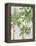 Caribbean Palm Trees-Jane Slivka-Framed Stretched Canvas