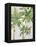 Caribbean Palm Trees-Jane Slivka-Framed Stretched Canvas