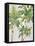 Caribbean Palm Trees-Jane Slivka-Framed Stretched Canvas