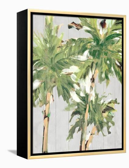 Caribbean Palm Trees-Jane Slivka-Framed Stretched Canvas