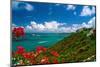 Caribbean Panorama, Fajardo, Puerto Rico-George Oze-Mounted Photographic Print