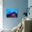 Caribbean Reef Shark and Soft Corals in the Ocean-null-Photographic Print displayed on a wall