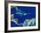 Caribbean, Satellite Image-PLANETOBSERVER-Framed Photographic Print