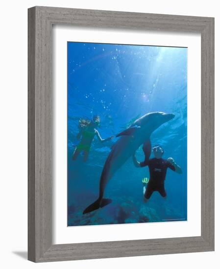 Caribbean Sea, Curacao-Michele Westmorland-Framed Photographic Print