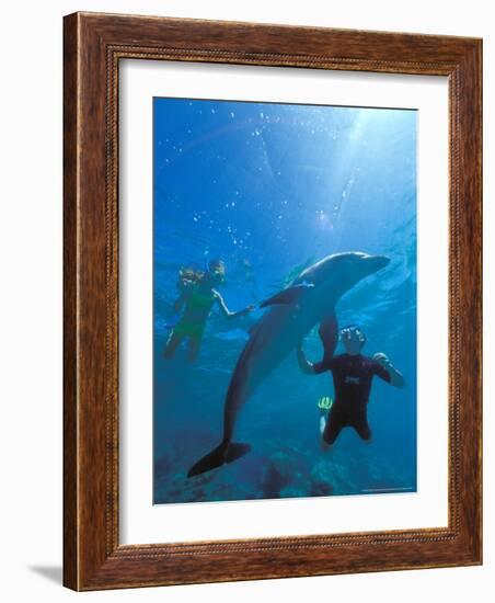 Caribbean Sea, Curacao-Michele Westmorland-Framed Photographic Print