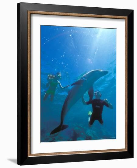 Caribbean Sea, Curacao-Michele Westmorland-Framed Photographic Print