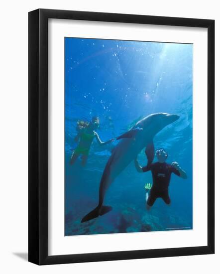 Caribbean Sea, Curacao-Michele Westmorland-Framed Photographic Print