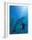 Caribbean Sea, Curacao-Michele Westmorland-Framed Photographic Print