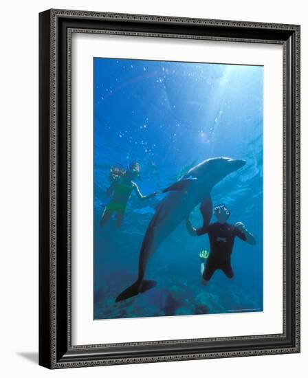 Caribbean Sea, Curacao-Michele Westmorland-Framed Photographic Print