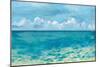 Caribbean Sea Reflections-Silvia Vassileva-Mounted Art Print