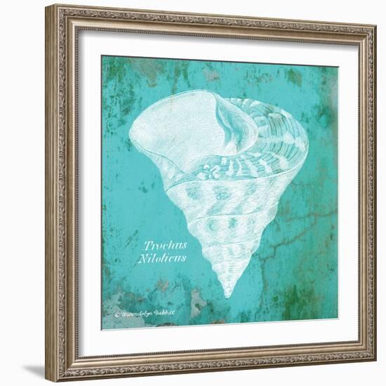 Caribbean Shell I-Gwendolyn Babbitt-Framed Art Print