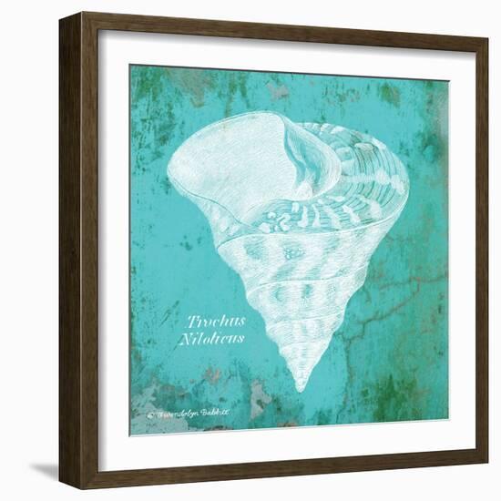 Caribbean Shell I-Gwendolyn Babbitt-Framed Art Print