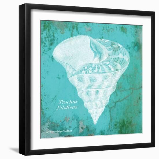 Caribbean Shell I-Gwendolyn Babbitt-Framed Art Print