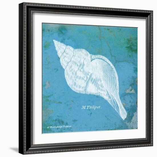 Caribbean Shell II-Gwendolyn Babbitt-Framed Art Print