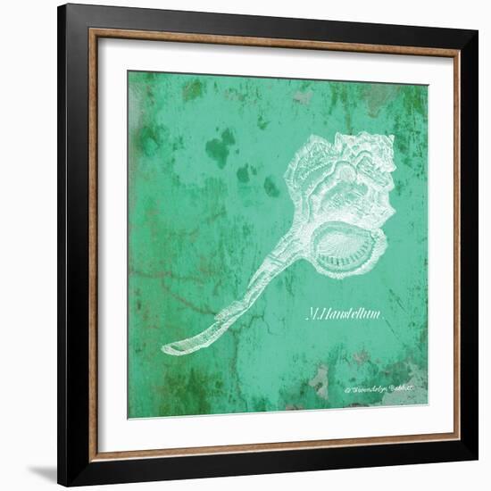 Caribbean Shell III-Gwendolyn Babbitt-Framed Art Print