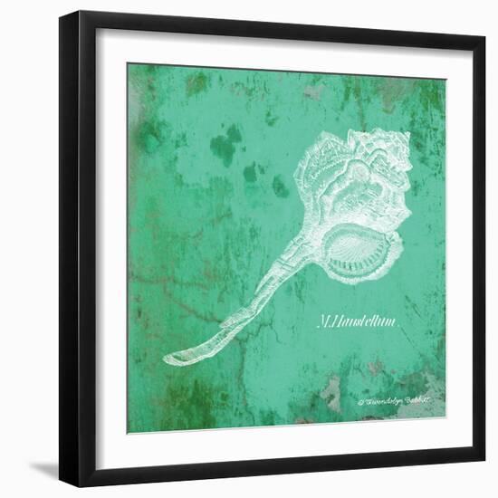 Caribbean Shell III-Gwendolyn Babbitt-Framed Art Print