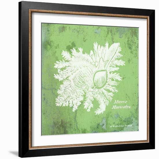 Caribbean Shell IV-Gwendolyn Babbitt-Framed Art Print