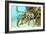 Caribbean Spiny Lobst-AndamanSE-Framed Photographic Print