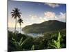 Caribbean, St Lucia, Marigot Bay and Harbour-Michele Falzone-Mounted Photographic Print