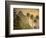 Caribbean, St Lucia, Petit and Gros Piton Mountains (UNESCO World Heritage Site)-Alan Copson-Framed Photographic Print