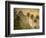 Caribbean, St Lucia, Petit and Gros Piton Mountains (UNESCO World Heritage Site)-Alan Copson-Framed Photographic Print