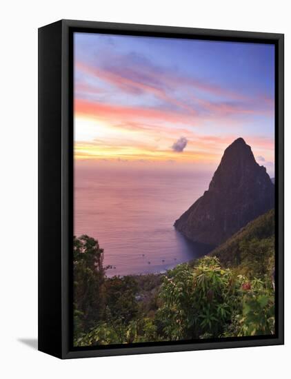 Caribbean, St Lucia, Petit Piton and Anse Des Pitons Beach-Michele Falzone-Framed Premier Image Canvas