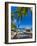 Caribbean, St Lucia, Soufriere, Anse Chastanet, Anse Chastanet Beach-Alan Copson-Framed Photographic Print