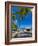 Caribbean, St Lucia, Soufriere, Anse Chastanet, Anse Chastanet Beach-Alan Copson-Framed Photographic Print