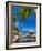 Caribbean, St Lucia, Soufriere, Anse Chastanet, Anse Chastanet Beach-Alan Copson-Framed Photographic Print