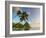 Caribbean, St Lucia, Soufriere Bay, Soufriere Beach and Petit Piton, Traditional Fishing Boats-Alan Copson-Framed Photographic Print