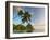 Caribbean, St Lucia, Soufriere Bay, Soufriere Beach and Petit Piton, Traditional Fishing Boats-Alan Copson-Framed Photographic Print