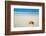 Caribbean Starfish over Sand Beach-Vitaliy Pakhnyushchyy-Framed Photographic Print